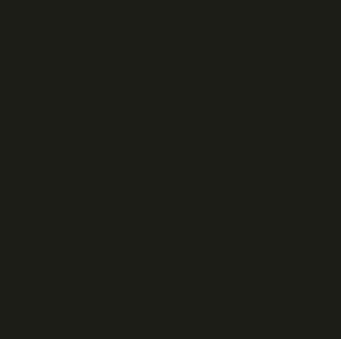 Falcon Eyes Background Cloth BCP-02 6x6 m Black
