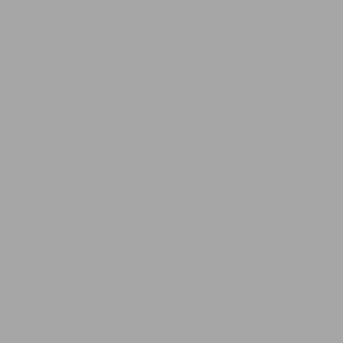 Falcon Eyes Background Cloth BCP-03 2,9x5 m Grey Washable